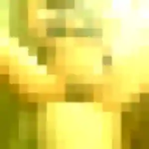 Photo de Kenza à Avrechy (23 ans) - plan cul sans inscription