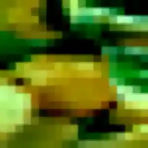 Clarisse, 39 ans, en ligne à Bailleul-le-Soc pour une rencontre coquine