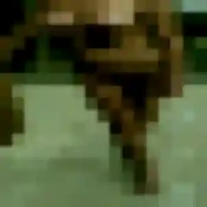 Belle Soraya, 34 ans à Bain-de-Bretagne - voir sa photo