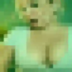 Clarisse, 38 ans, disponible à Baix pour un plan cul