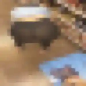 Elia, fille de 28 ans propose plan cul à Ballots