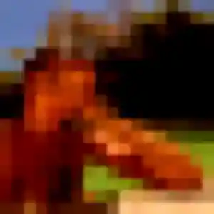 Isaure, femme de 19 ans propose plan cul à Bannay