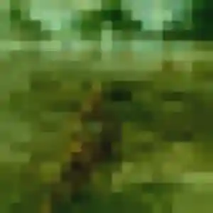 Honorine, fille de 36 ans cherche plan cul à Banvou