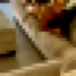 Rejoins Celia, 29 ans à Barc en t'inscrivant