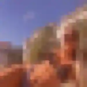 Charmante Lina, 34 ans à Barenton - voir sa photo