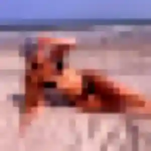 Zelie de Barenton, 36 ans - plan cul sans lendemain