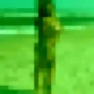 Photo exclusive de Alina, 32 ans à Bassillac et Auberoche - plan discret
