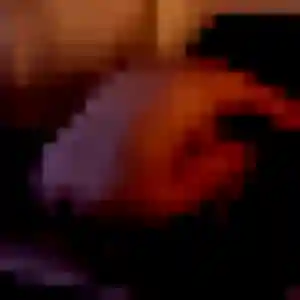 Photo perso de Mailys, 27 ans à Baulon - rencontre coquine