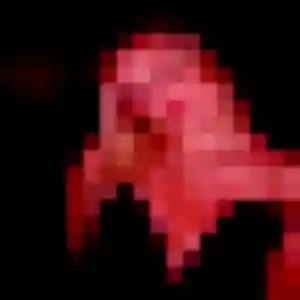 Profil de Meryem à Bazainville (33 ans) - plan cul anonyme