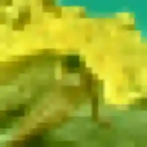 Alix (23 ans) à Bazoches-sur-Hoëne propose une rencontre aujourd'hui