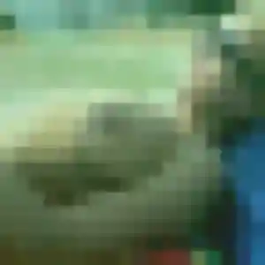 Roxane de Beauchamp, 37 ans - plan cul sans prise de tête