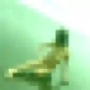Alix, 33 ans, dispo pour plan cul à Beaufort-Orbagna