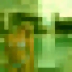 Feriel, 29 ans, connectée à Beaumont-les-Nonains pour une rencontre coquine