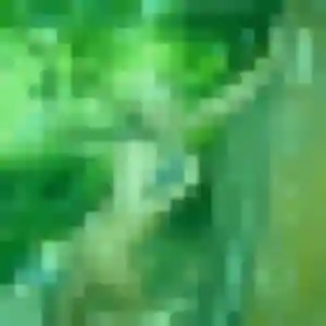 Celeste, femme de 27 ans veut plan cul à Beauvoir-sur-Niort