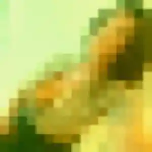 Photo de Anissa à Bélarga (25 ans) - plan cul gratuit