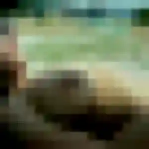 Profil de Roxane à Belbeuf (23 ans) - plan cul gratuit