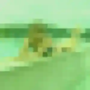 Contacte Alya, 21 ans à Belleherbe gratuitement