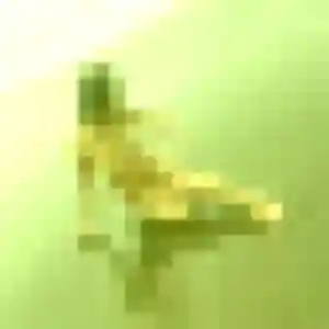 Garance, 25 ans, dispo pour plan cul à Bellevigne-en-Layon