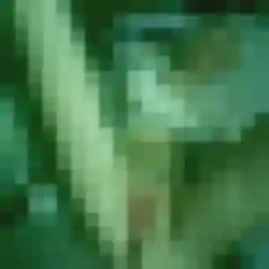 Contacte Lison, 20 ans à Bellou-en-Houlme en privé