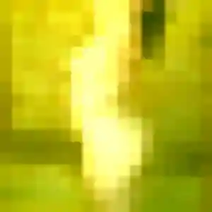 Manel, 22 ans, disponible à Berchères-les-Pierres pour un plan cul