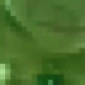 Photo exclusive de Doriane, 19 ans à Bergues - rencontre coquine