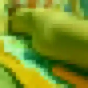 Naya, 19 ans, cherche un plan cul à Bergues