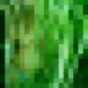 Elina, 36 ans, connectée à Berric pour un plan cul