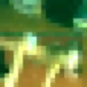 Contacte Nour, 36 ans à Berteaucourt-les-Dames en privé