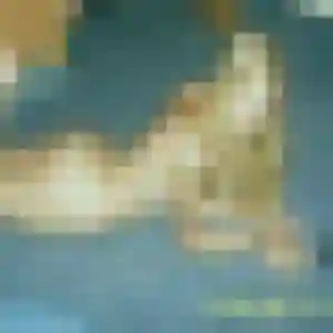 Photo perso de Sana, 25 ans à Bertry - rencontre coquine