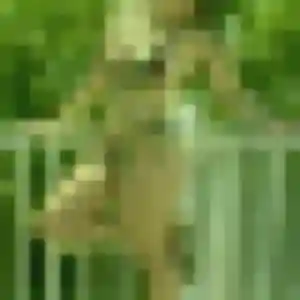 Profil de Alissa à Béthisy-Saint-Martin (19 ans) - plan cul gratuit