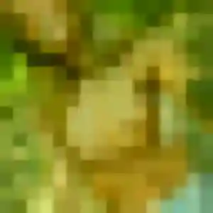 Mila de Béthisy-Saint-Martin, 39 ans - plan cul sans prise de tête