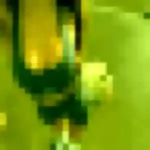 Photo privée de Anouk, 26 ans à Beuzeville - rencontre coquine