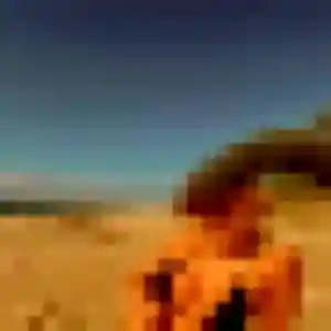 Photo de Alina à Bilieu (33 ans) - plan cul discret