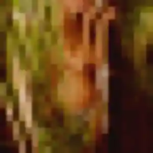 Charline, 38 ans, disponible à Blérancourt pour un plan cul