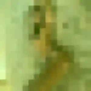 Sasha, femme de 22 ans cherche plan cul à Blotzheim