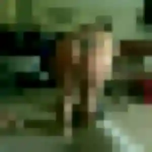 Inaya (27 ans) à Bodilis propose une rencontre maintenant