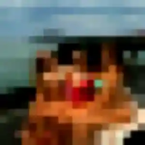 Photo privée de Lyana, 26 ans à Bohars - rencontre coquine
