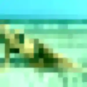 Capucine, 36 ans, veut un plan cul à Bois-Guillaume