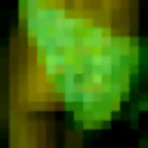 Alina (38 ans) à Bois-l'Évêque cherche un plan cul ce soir