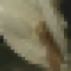 Lyana (28 ans) à Boissy-l'Aillerie cherche une rencontre rapidement