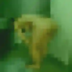 Profil de Mailys à Boissy-Mauvoisin (23 ans) - plan cul sans inscription