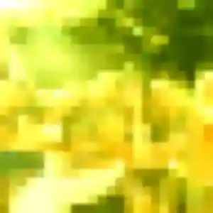 Belle Viviane, 20 ans à Boissy-sans-Avoir - voir sa photo