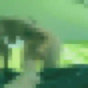 Sexy Prisca, 33 ans à Bonnefamille - la contacter