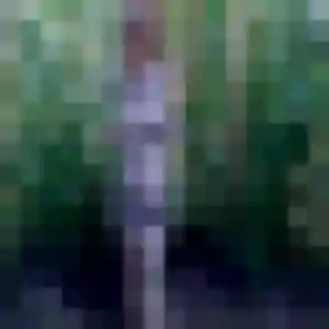 Ludivine, 35 ans, veut un plan cul à Bonnelles