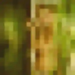 Photo perso de Charline, 36 ans à Bonnut - plan discret