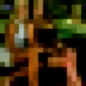 Rencontre Eden, 30 ans à Bonsecours en t'inscrivant