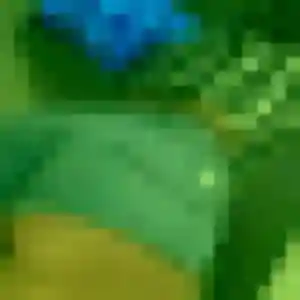 Contacte Alix, 22 ans à Bosc-Guérard-Saint-Adrien gratuitement