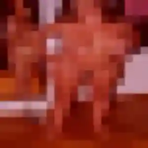 Eleonore de Bosc-le-Hard, 36 ans - plan cul sans lendemain