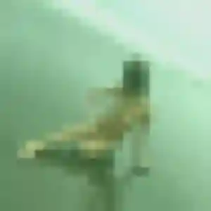 Ilana, fille de 19 ans propose plan cul à Bosville