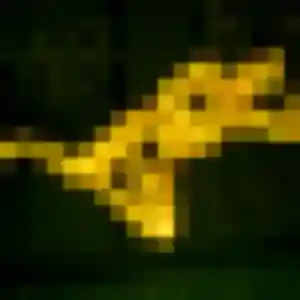 Lina de Bouessay, 36 ans - plan cul discret